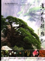 <em>黄山</em>珍稀植物