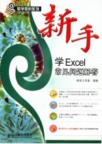 新手学<em>Excel</em>常见问题解答