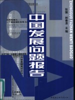 中国发展问题报告