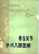 骨与关节手术入路图解
