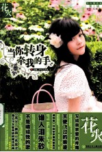 当你转身牵<em>我的</em>手  花火精装版