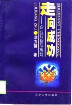 走向成功  企业诊断与策划
