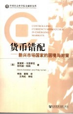 货币错配  新兴市场国家的困境与对策