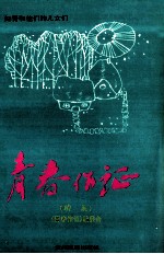 <em>青春</em>作证  知青和他们的儿女们  续集