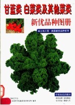甘蓝类  <em>白菜</em>类及其他菜类新优品种图册