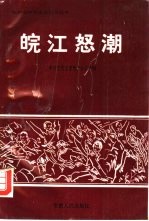 <em>皖江</em>怒潮