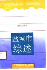 盐城市综述