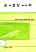 河北农村四十年