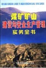 煤矿矿山建设与<em>安全</em>和平管理实务全书  第1卷