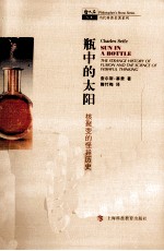 瓶中的太阳  核聚变的怪异历史