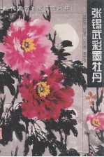 <em>张锡</em>武彩墨牡丹