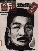 鲁迅选集  插图<em>评注</em>本  小说卷