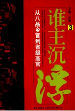 谁主沉浮  3