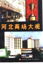 河北商场<em>大观</em>