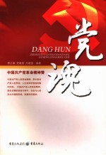 党魂  中国共产党革命精神赞