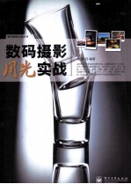 数码摄影用光实战  全彩
