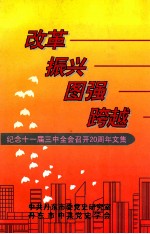 纪念十一届三中全会召开20周年文集  改革  振兴  图强  跨越