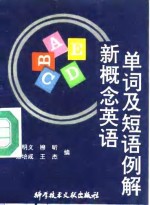 新概念英语单词及短语例解