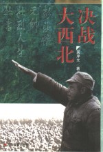 决战大西北