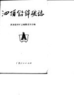 泗<em>顶</em>铅锌矿志