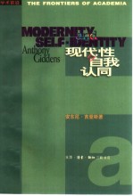 现代性与自我认同  现代晚期的自我与社会