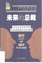 未来的总裁  25位企业咨询专家对未来管理风范的展望