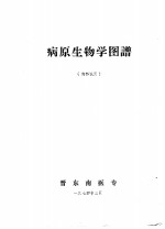 病原生物学图谱