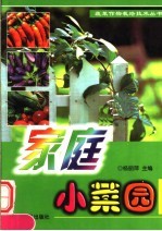家庭小<em>菜园</em>