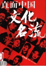 直面中国文化名流