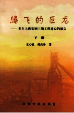 腾飞的巨龙  来自上海宝钢三期工程建设的报告人  下