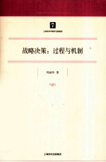 战略决策  过程与机制