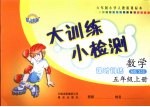 大训<em>练</em>小检测  数学  五年级  上  人教版