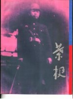 <em>叶</em>挺图集