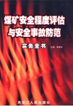 煤矿<em>安全</em>程度评估与<em>安全</em>事故防范实务<em>全书</em>  <em>第</em><em>1</em><em>卷</em>