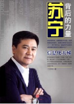 苏宁背后的力量  信息化天梯