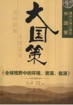 通向大国之路的中国策  全球视野中的环境、资源、能源