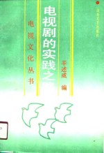 电视剧的实践之路