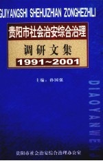 贵阳市社会治安综合治理调研文集  1991-2001