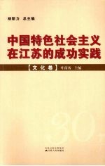 中国特色社会主义在江苏的成功实践  文化卷