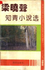 <em>梁<em>晓声</em></em>知青小说选