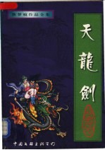 天龙剑  上