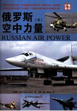 <em>俄</em>罗斯空中力量  2