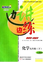 边讲边练  化学  九年级  下  人教版
