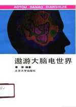 遨游大脑电世界