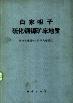 白家咀子硫化铜镍矿床地质