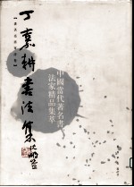 丁嘉耕<em>书<em>法集</em></em>  潘洪亮将军诗卷