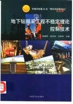 地下钻掘采工程不稳定理论与控制<em>技术</em>  中国科协第46次“青年科学家论坛”论文集