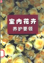 室内花卉养护要领