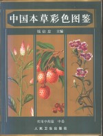 中国本草彩色图鉴  <em>常用</em><em>中药</em>篇  中