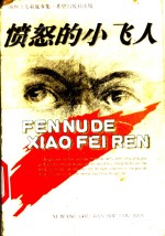 <em>颜<em>煦之</em></em>儿童故事集  愤怒的小飞人